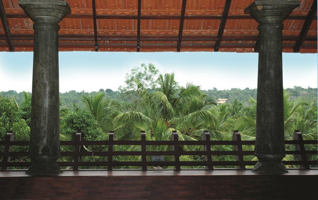 Amrutham Ayurvedic Village Resort Kovalam Phòng bức ảnh